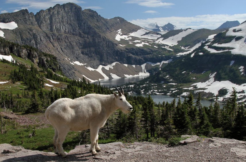 Glacier County, Montana, USA